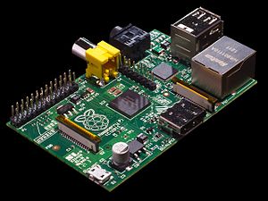 The Raspberry Pi board itself.